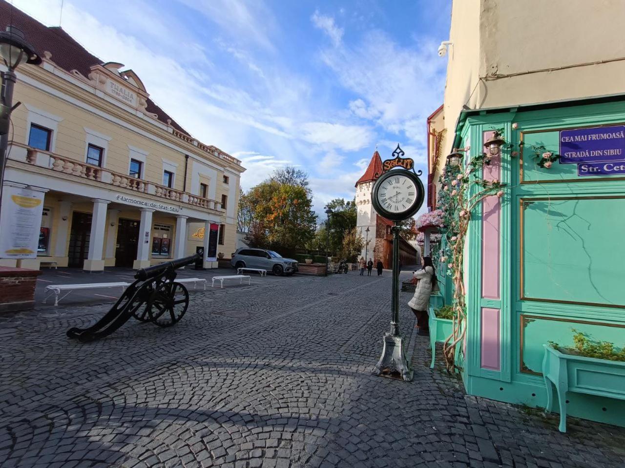 Old Town Cozy Nest Apartment Sibiu Exterior photo